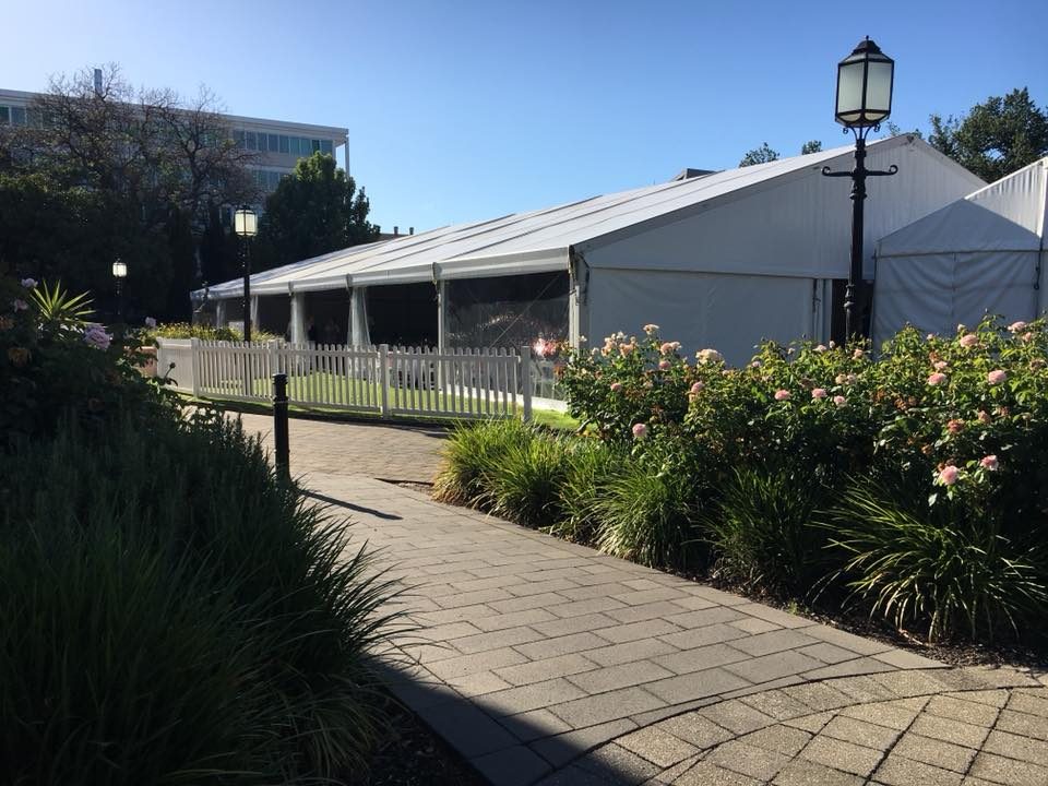 The Marquee on the front lawns of Ayers House on a sunny day, behind a white picket fence and rose gardens